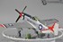 Picture of ArrowModelBuild P51 United States Bicentennial Version Built & Painted 1/48 Model Kit, Picture 9