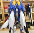 Picture of ArrowModelBuild Wing Gundam Proto Zero Built & Painted MG 1/100 Model Kit, Picture 6