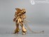 Picture of ArrowModelBuild Volks Knight of Gold Built & Painted 1/100 Model Kit, Picture 1