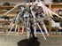 Picture of ArrowModelBuild Wing Gundam Snow White Prelude Built & Painted MG 1/100 Model Kit, Picture 1