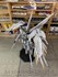 Picture of ArrowModelBuild Wing Gundam Snow White Prelude Built & Painted MG 1/100 Model Kit, Picture 11