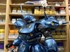 Picture of ArrowModelBuild Kampfer Built & Painted MG 1/100 Model Kit, Picture 13